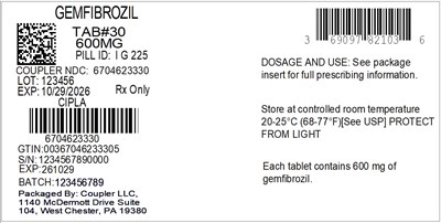 Label (69097 821 12 Gemfibrozil 600mg 67046 233 30)